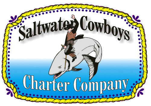 Cowboys Mobile Site